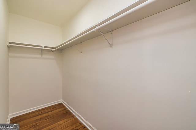 spacious closet featuring dark hardwood / wood-style floors