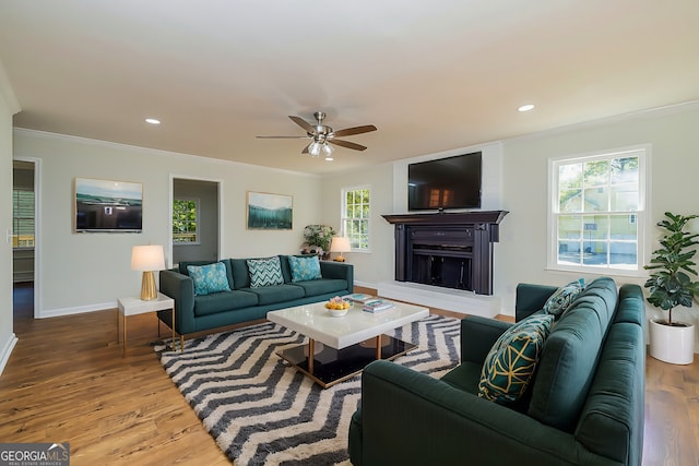 living room with crown molding, ceiling fan, and hardwood / wood-style floors