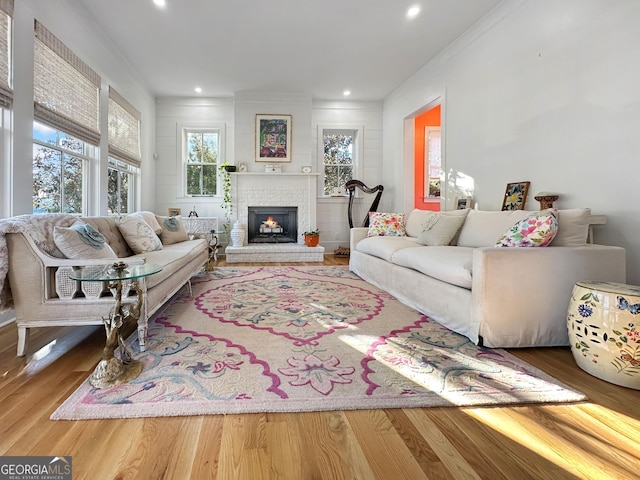 living room featuring ornamental molding, a fireplace, and hardwood / wood-style floors