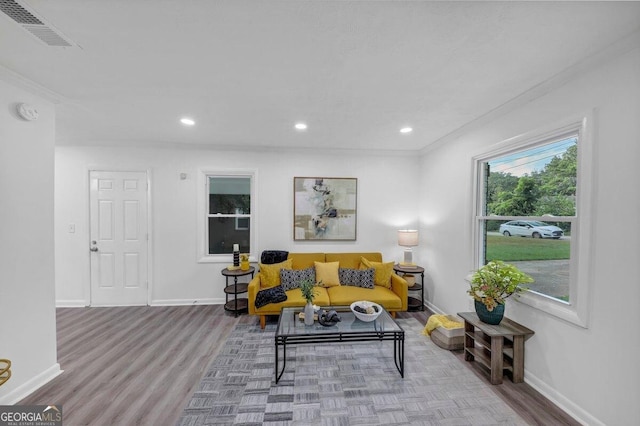 living room featuring crown molding and hardwood / wood-style floors