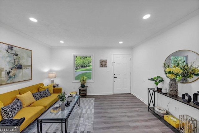 living room featuring hardwood / wood-style flooring and crown molding