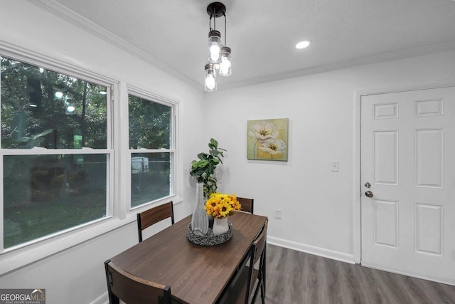 dining space with ornamental molding and dark hardwood / wood-style floors