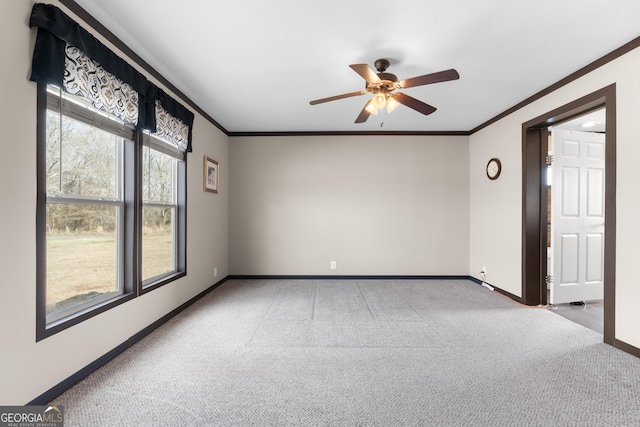 empty room featuring ornamental molding, carpet, and ceiling fan