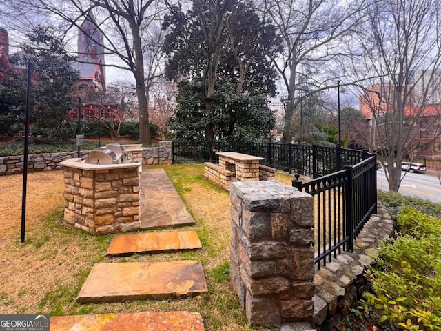 view of yard featuring exterior kitchen