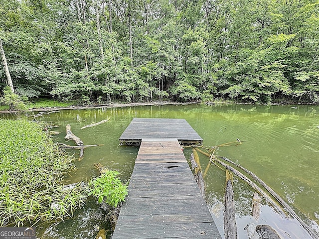 view of dock area