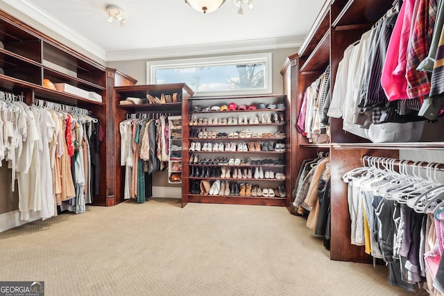 walk in closet featuring light carpet