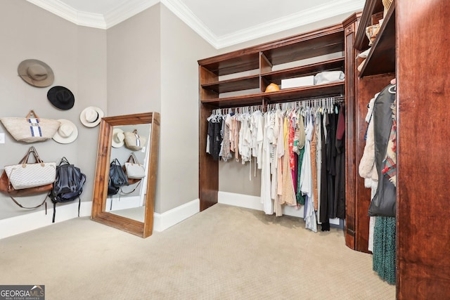 view of closet