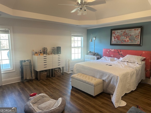 bedroom with dark hardwood / wood-style floors, a tray ceiling, and multiple windows