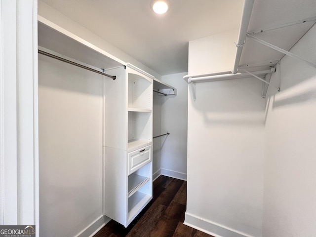 walk in closet with dark wood-style floors