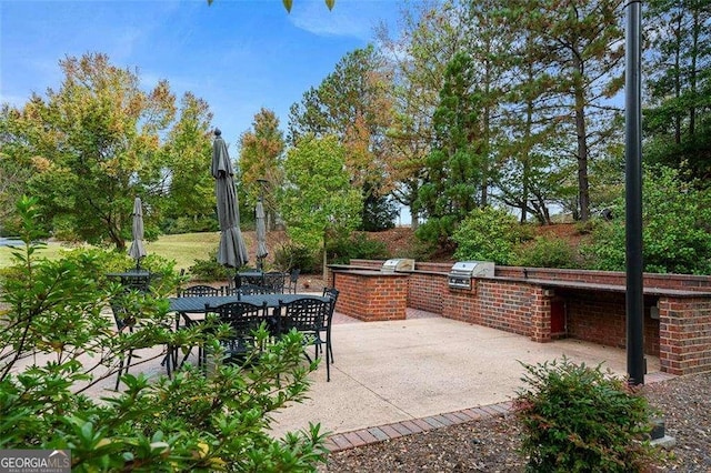 view of patio / terrace with exterior kitchen and grilling area