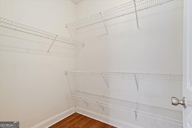 walk in closet featuring wood-type flooring