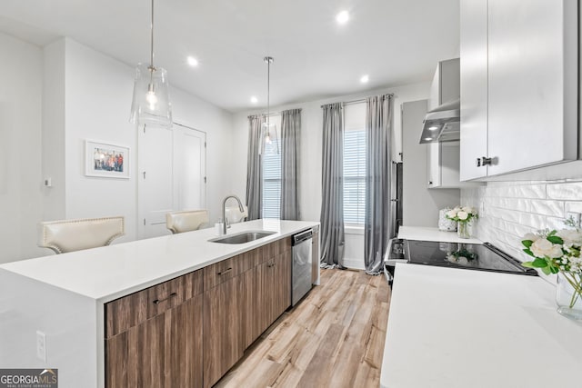 kitchen featuring stainless steel dishwasher, ventilation hood, a sink, and light countertops