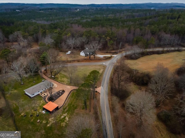 bird's eye view