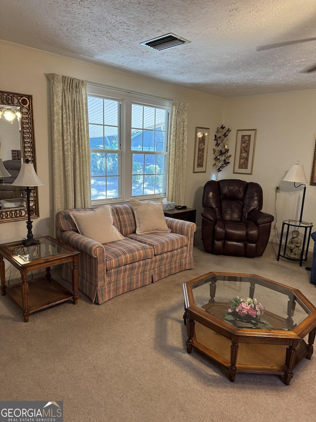 living room with a textured ceiling and carpet flooring