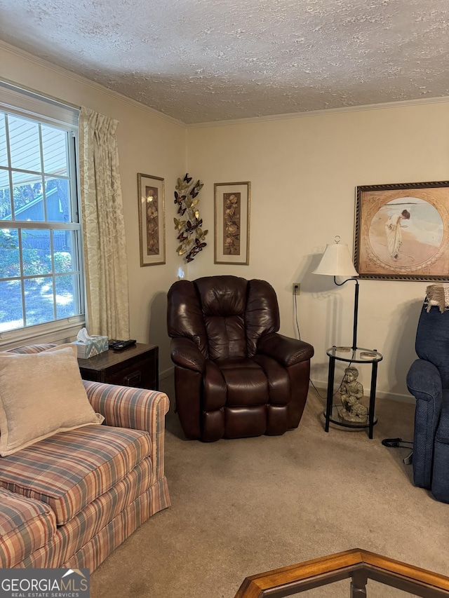 living room with carpet flooring and a textured ceiling