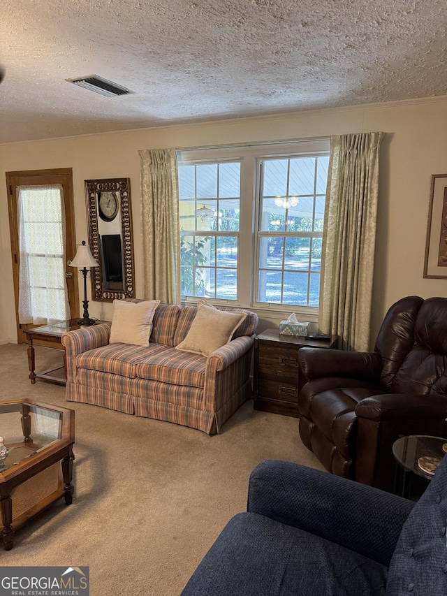 carpeted living room featuring a textured ceiling and a wealth of natural light