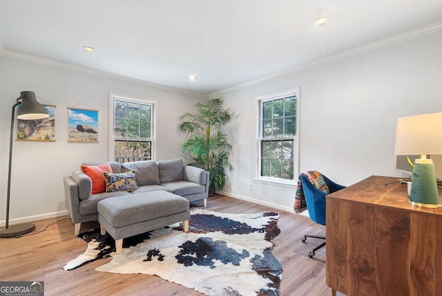 office area with a wealth of natural light, ornamental molding, and light wood-type flooring