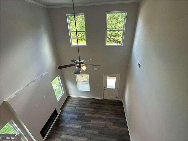 interior space featuring ceiling fan, ornamental molding, dark hardwood / wood-style flooring, and a high ceiling