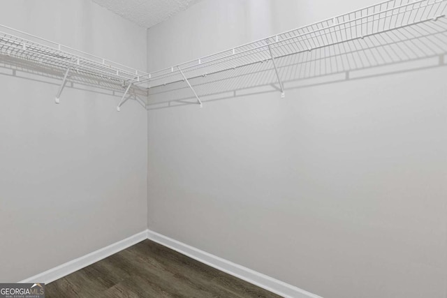 spacious closet with dark wood-type flooring