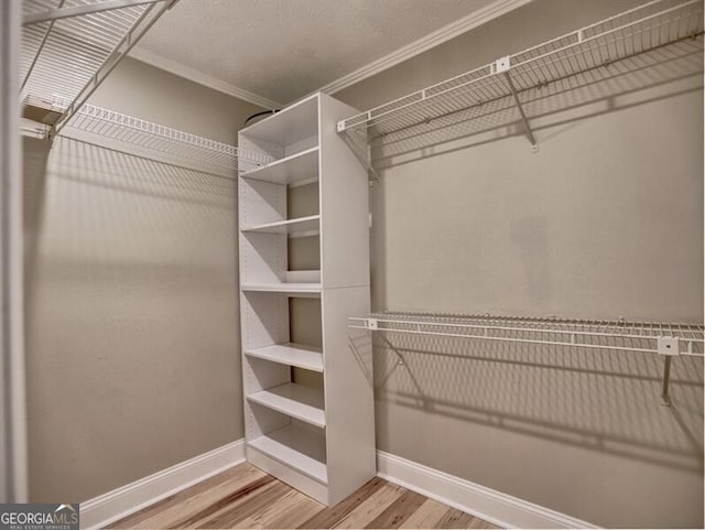 walk in closet featuring hardwood / wood-style flooring