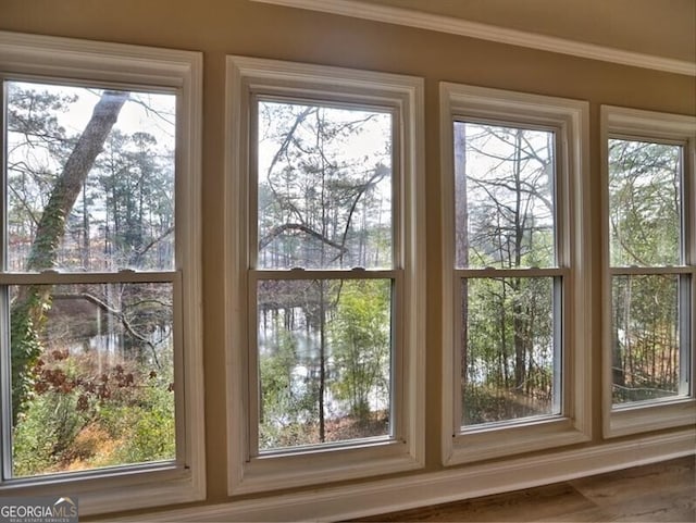 entryway featuring ornamental molding and a water view