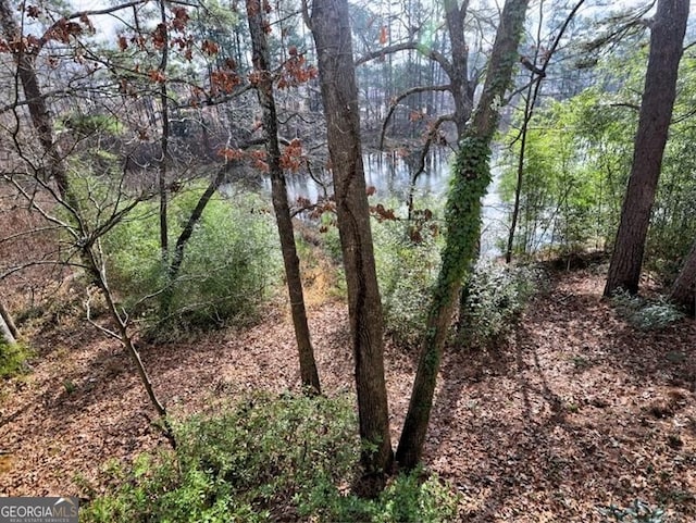 view of landscape featuring a water view