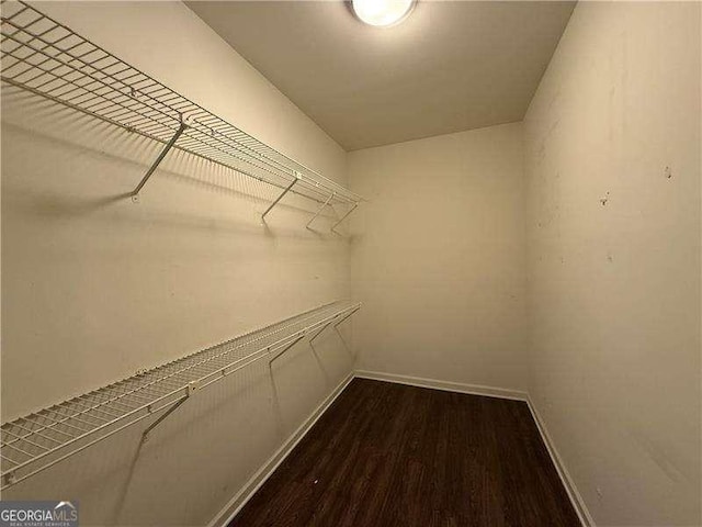 spacious closet with dark hardwood / wood-style flooring