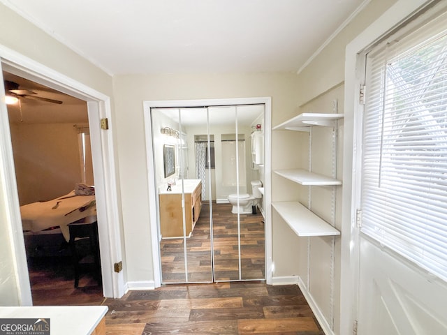 walk in closet with ceiling fan and dark hardwood / wood-style floors