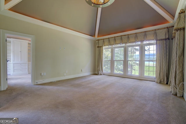 carpeted spare room featuring ornamental molding, plenty of natural light, and high vaulted ceiling