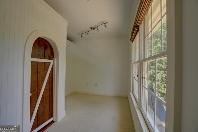 carpeted empty room featuring rail lighting and a healthy amount of sunlight