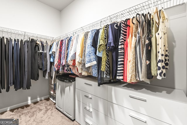 spacious closet featuring carpet