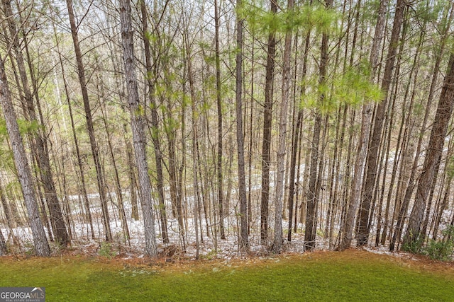 view of local wilderness featuring a wooded view