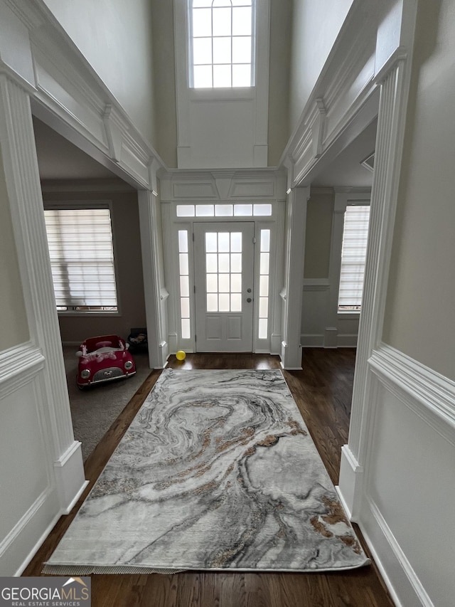 entrance foyer featuring a towering ceiling, dark hardwood / wood-style floors, and a wealth of natural light