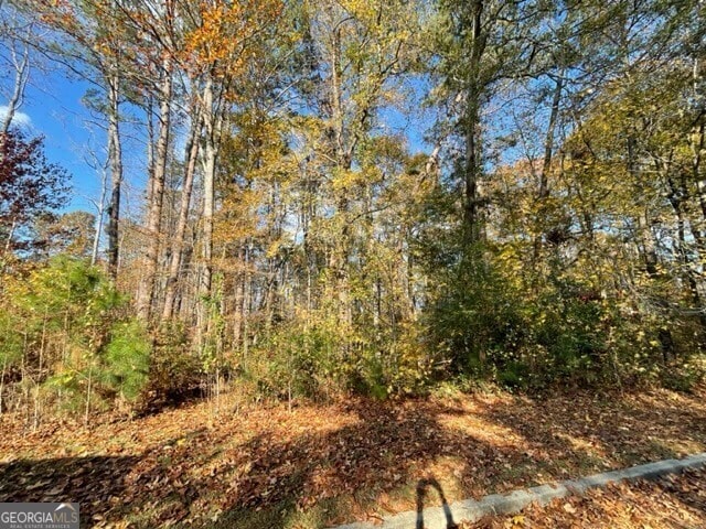 Listing photo 3 for 115 Cornish Trace Dr Lot 11, Covington GA 30014