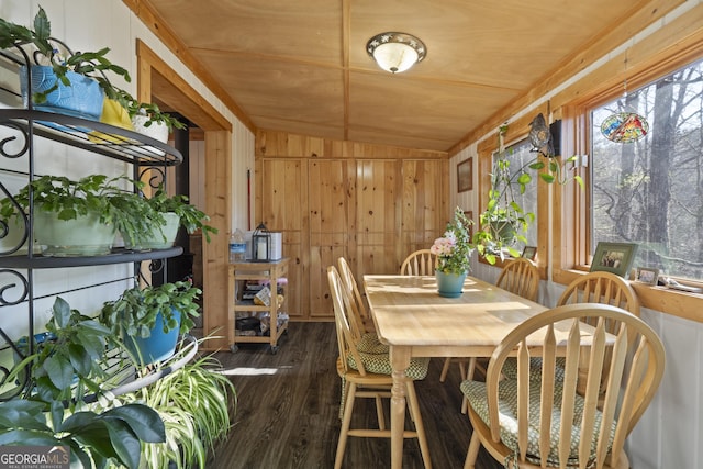 dining area featuring wood walls, dark hardwood / wood-style floors, and a wealth of natural light