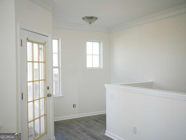 interior space featuring crown molding and dark hardwood / wood-style flooring