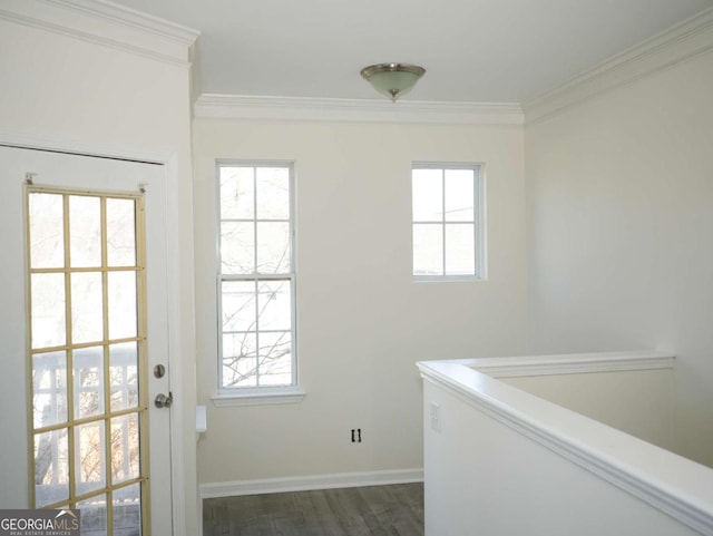 doorway featuring crown molding, a healthy amount of sunlight, and dark hardwood / wood-style flooring