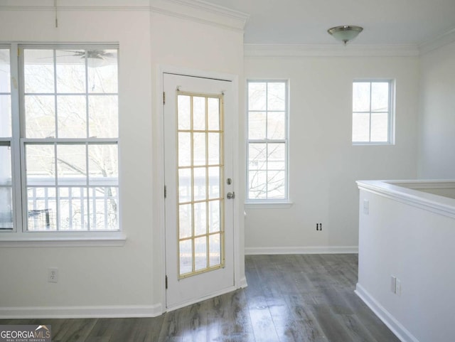 doorway to outside with crown molding and dark hardwood / wood-style floors