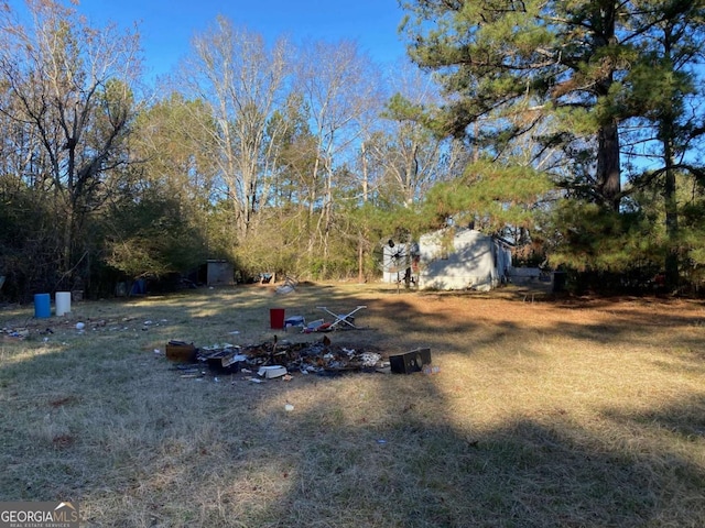 view of yard featuring a shed