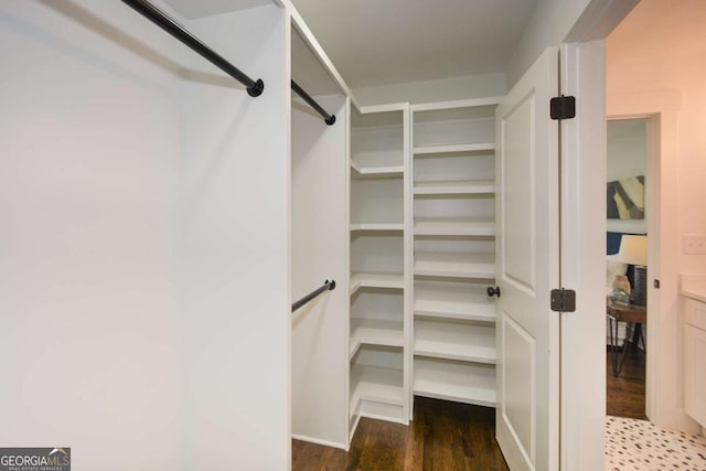 spacious closet featuring dark wood-type flooring