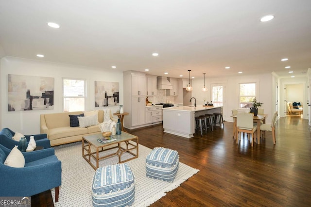 living room with dark wood-type flooring and sink