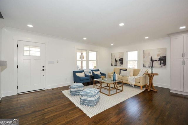 living room featuring dark wood-type flooring