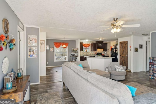 living room with dark wood-type flooring, ceiling fan, and a textured ceiling