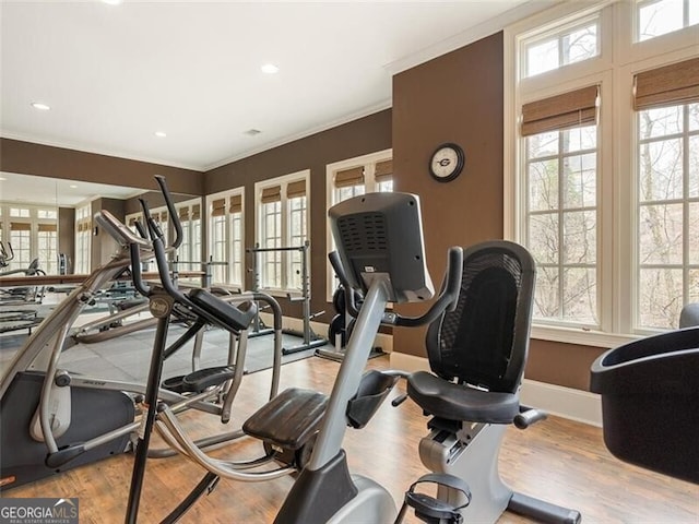 workout area with crown molding and light hardwood / wood-style floors