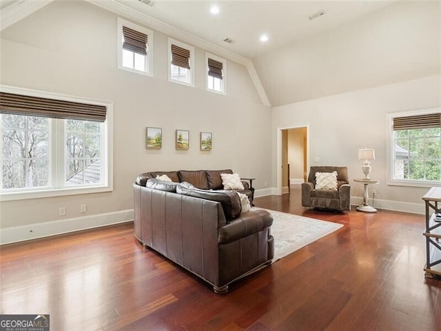 living room with high vaulted ceiling and dark hardwood / wood-style flooring