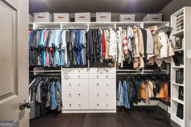 walk in closet featuring dark hardwood / wood-style floors