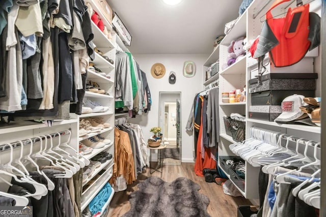 walk in closet with hardwood / wood-style floors