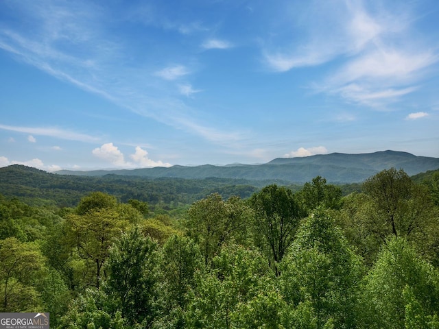 851 Moreland Dr N, Blue Ridge, GA 30513 - view of mountain feature with a view of trees