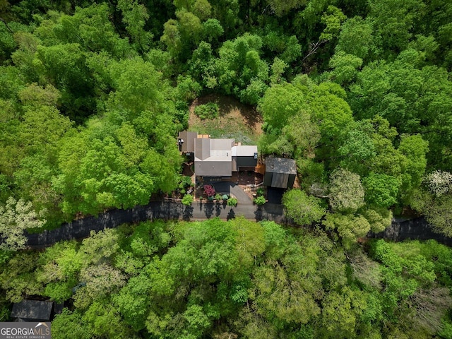 851 Moreland Dr N, Blue Ridge, GA 30513 - bird's eye view with a wooded view