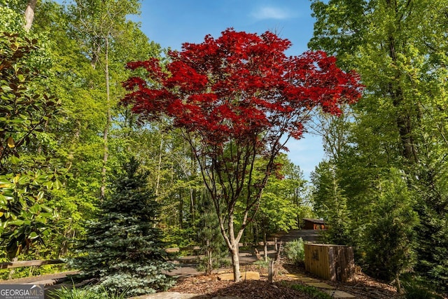 851 Moreland Dr N, Blue Ridge, GA 30513 - view of yard